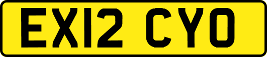 EX12CYO