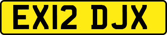 EX12DJX