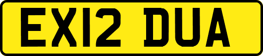 EX12DUA