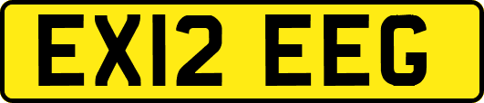 EX12EEG
