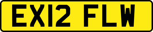 EX12FLW