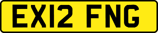 EX12FNG