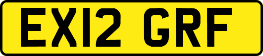 EX12GRF