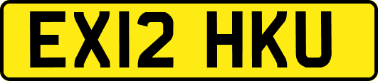 EX12HKU