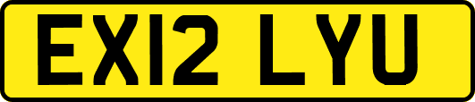 EX12LYU