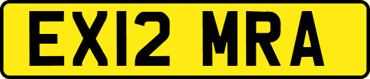 EX12MRA