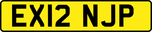 EX12NJP