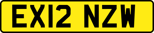 EX12NZW