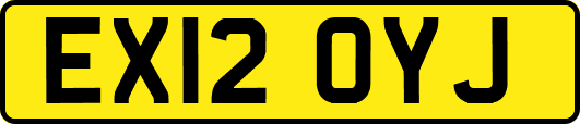 EX12OYJ