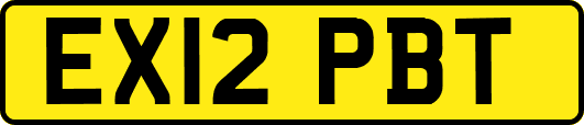 EX12PBT