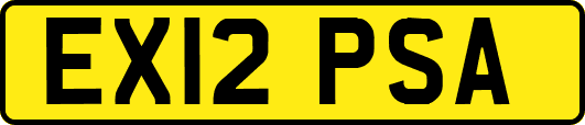 EX12PSA