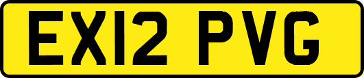 EX12PVG