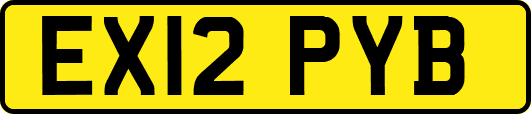 EX12PYB