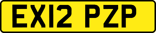EX12PZP
