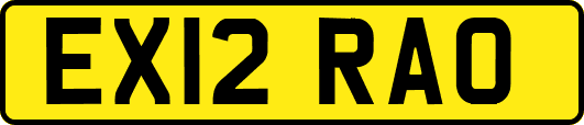EX12RAO