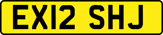 EX12SHJ