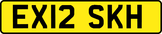 EX12SKH