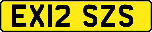 EX12SZS