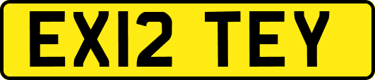 EX12TEY