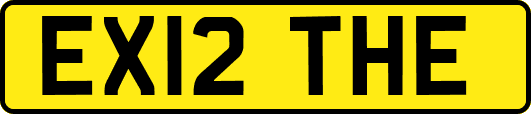EX12THE