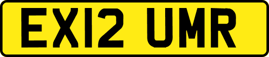 EX12UMR