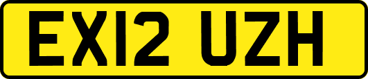 EX12UZH