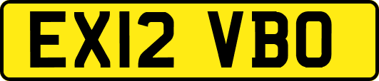 EX12VBO