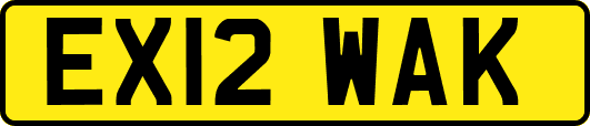 EX12WAK