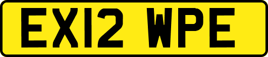EX12WPE