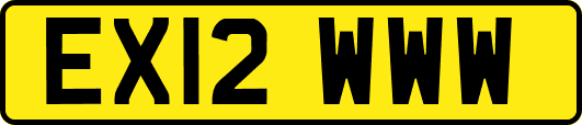 EX12WWW