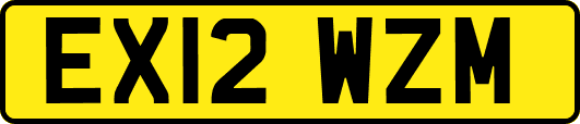 EX12WZM