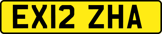 EX12ZHA