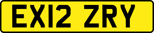 EX12ZRY