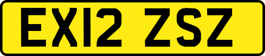 EX12ZSZ