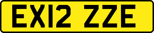 EX12ZZE