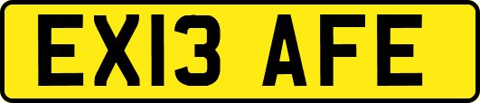 EX13AFE