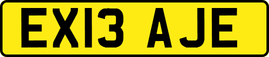 EX13AJE