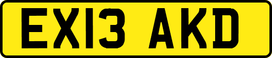 EX13AKD