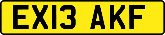 EX13AKF