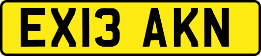 EX13AKN