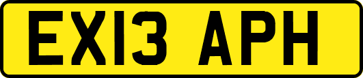 EX13APH