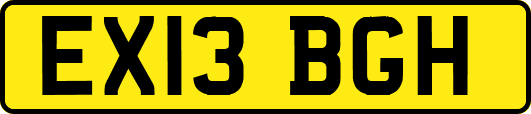 EX13BGH