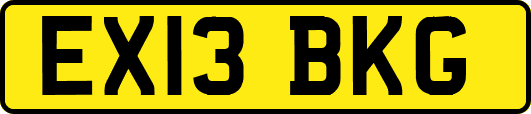 EX13BKG