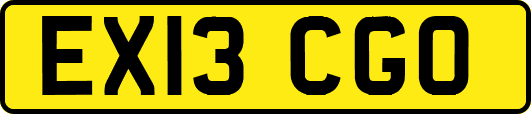 EX13CGO
