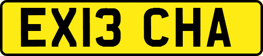 EX13CHA