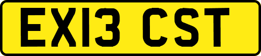EX13CST