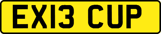 EX13CUP