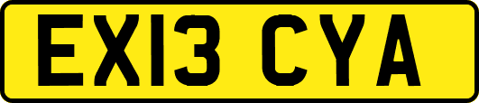 EX13CYA