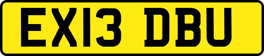 EX13DBU