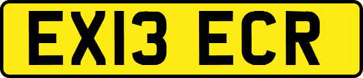 EX13ECR